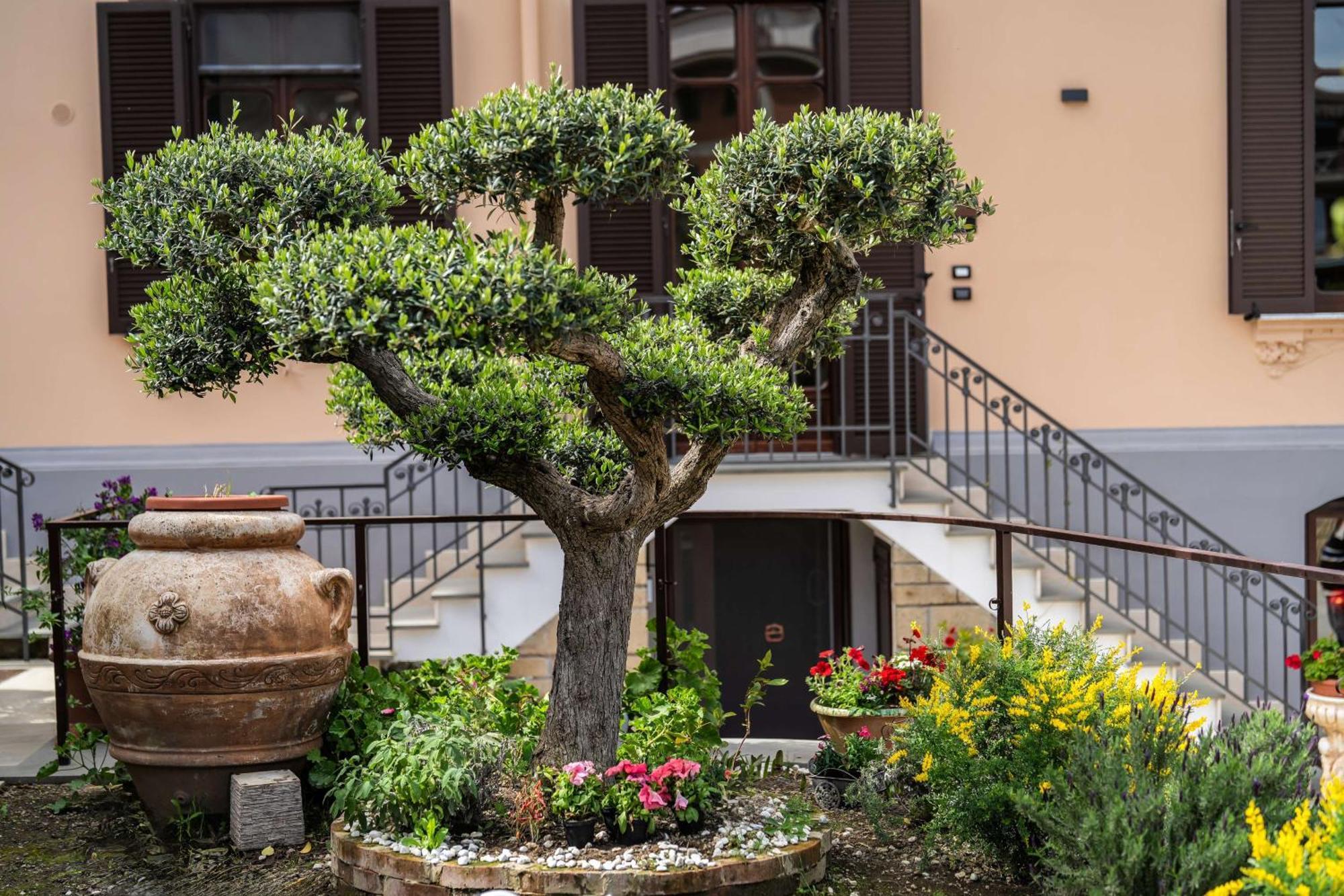 Villa Agostino Luxury B&B Vico Equense Eksteriør bilde